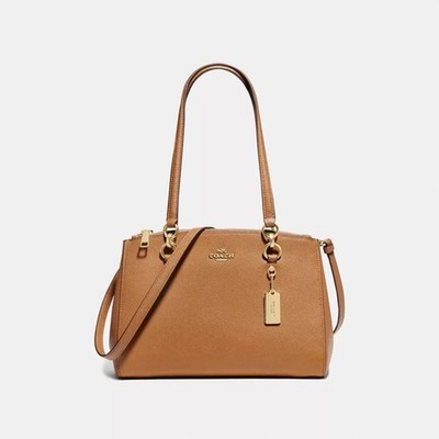 Carryall Coach Bag Etta Coach Coach Rose Bouquet Etta Carryall - Main Image