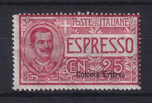 Eritrea Italiana 1905 Francobollo urgente 25 C. Michel n. 31 mai usato*