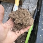 DIRT CHONK — photo 2