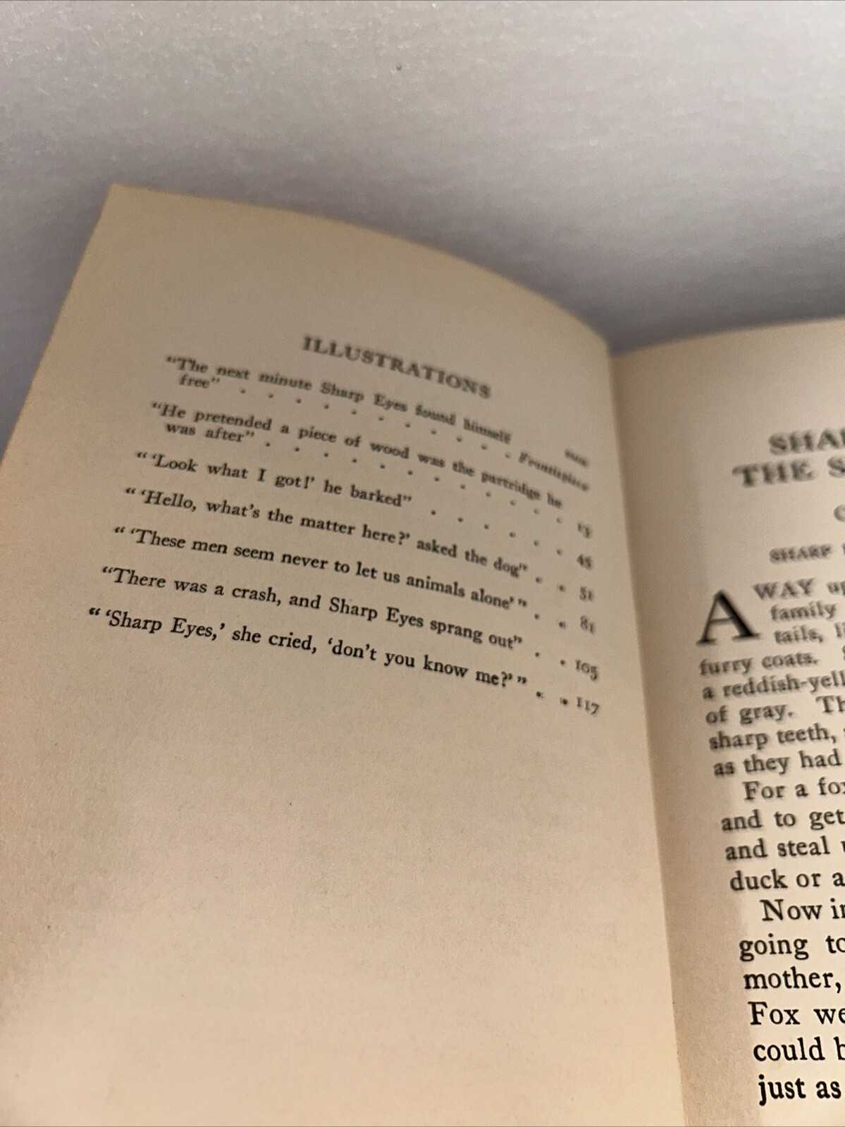 KNEETIME ANIMAL STORIES 1918 Chunky The Happy Hippo & Sharp Eyes The Silver Fox 