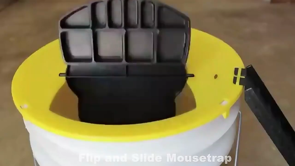 Rat Catching Bucket 5 Gallon