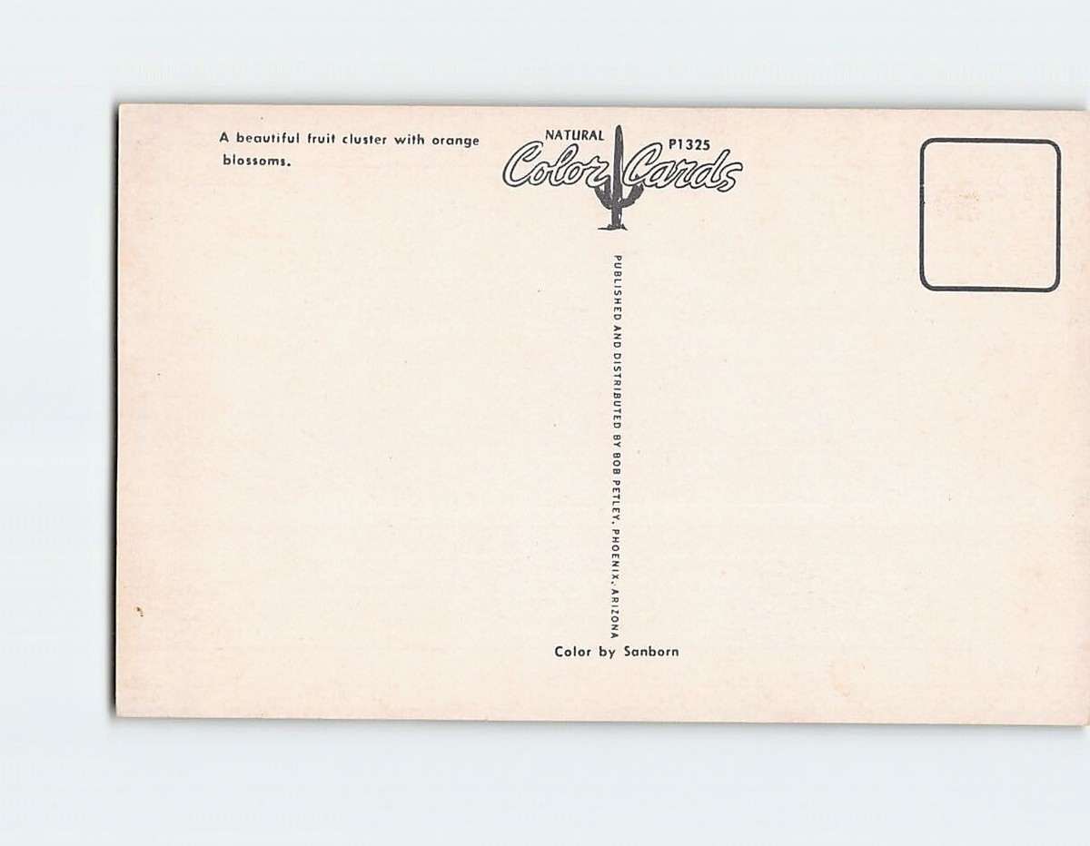 Postcard Fruit Cluster with Orange Blossoms | eBay