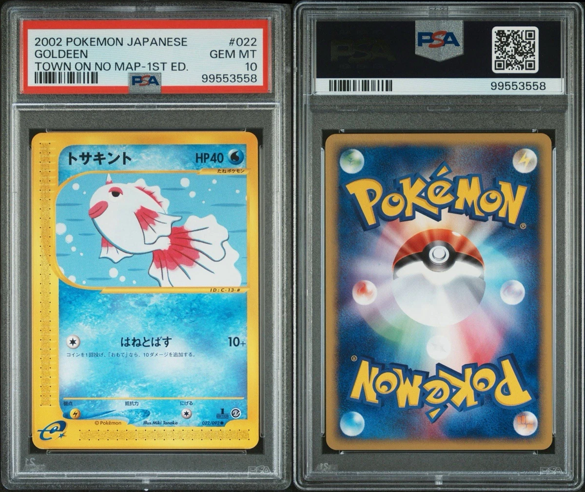 The Town on No Map Pokémon TCG Cards for sale | eBay