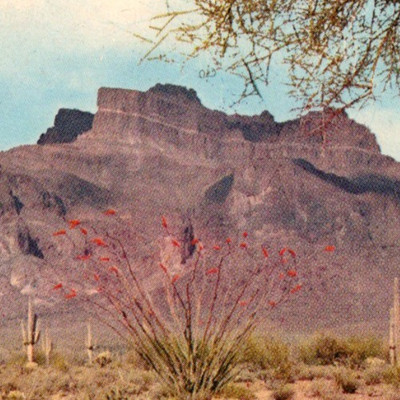 Vintage Postcard Superstition Mountain Mesa Lost Dutchman Mine AZ Arizona