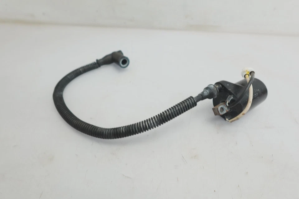 Bobina de encendido Polaris 2008-15 OEM Dragon IQ RMK 600 700 800 Switchback Assault Foto 2 de 4