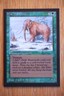 War Mammoth NM+ *Magic International Collector's Edition* English MTG Gathering