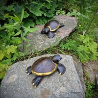"Budawi® Dekoschale \" SchildkröTe \" Hibiskus Holzschale Handarbeit Indonesien"