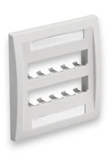 Panduit CFPE10WH-2GY 10-Port Mini-Com Faceplate Executive Series White