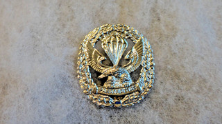 MILITARY BADGES MEXICO