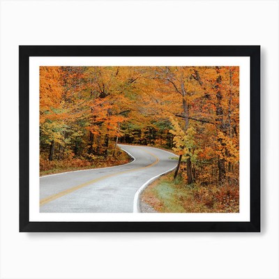 Road Through Fall Forest Art Print Framed Wall Art Poster Canvas Print Picture