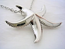 STARFISH PENDANT A HIGH POLISHED FINISH AND A CHAIN IN STAINLESS STEEL