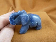(Y-ELE-759) Blue dumortierite ELEPHANT gemstone figurine love elephants zoo