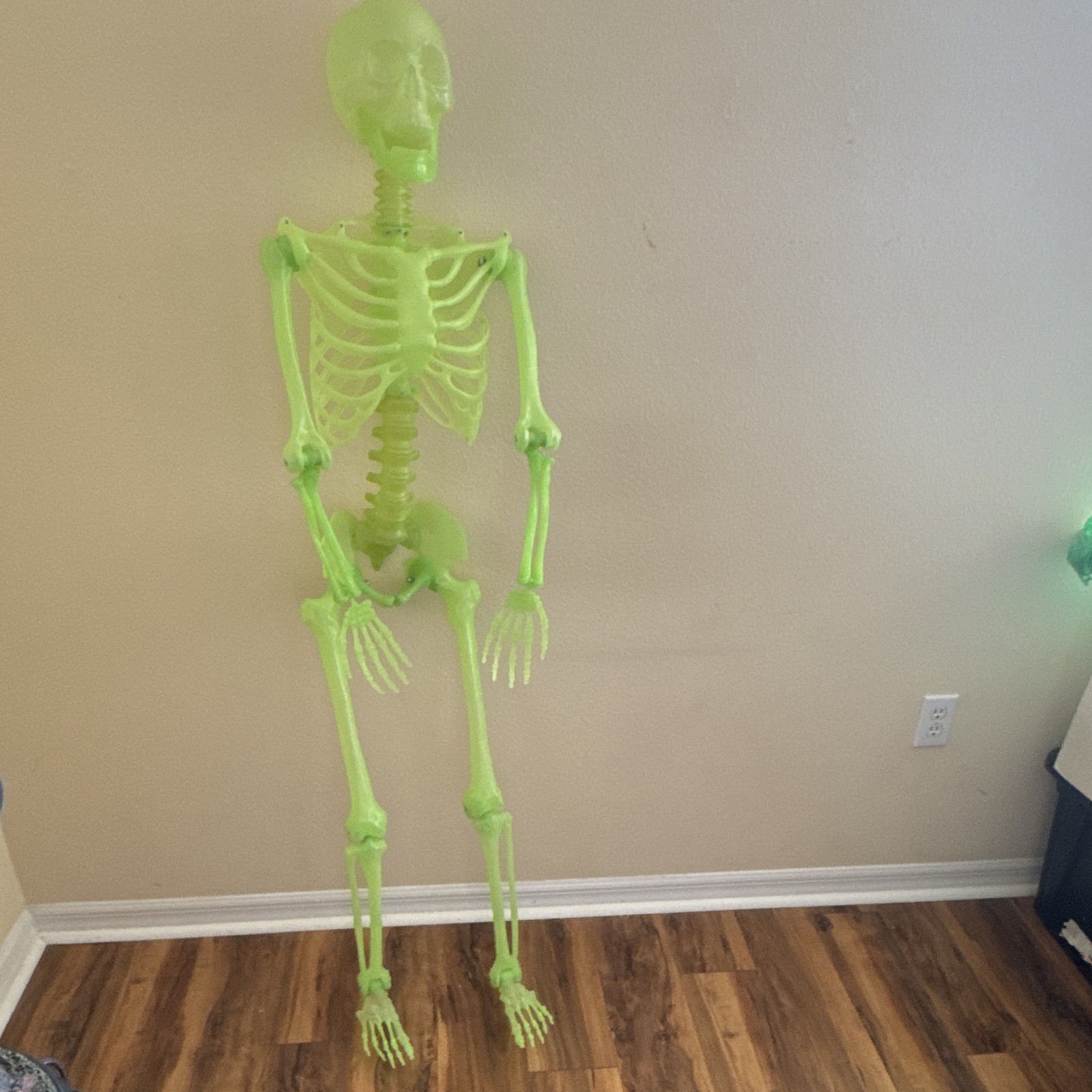 Halloween Seasonal Skeleton Prop Decoration - Green Plastic