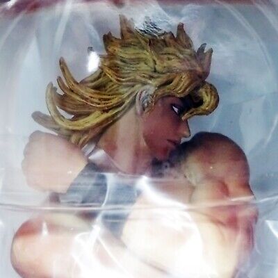 Shadow DIO JoJo's Bizarre Adventure Stardust Crusaders Male Figure