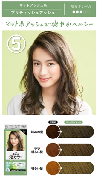 KAO LIESE hair color foam type - design series VZ7275