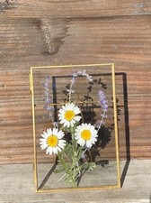 Handmade pressed real dried flowers in brass double glass frame