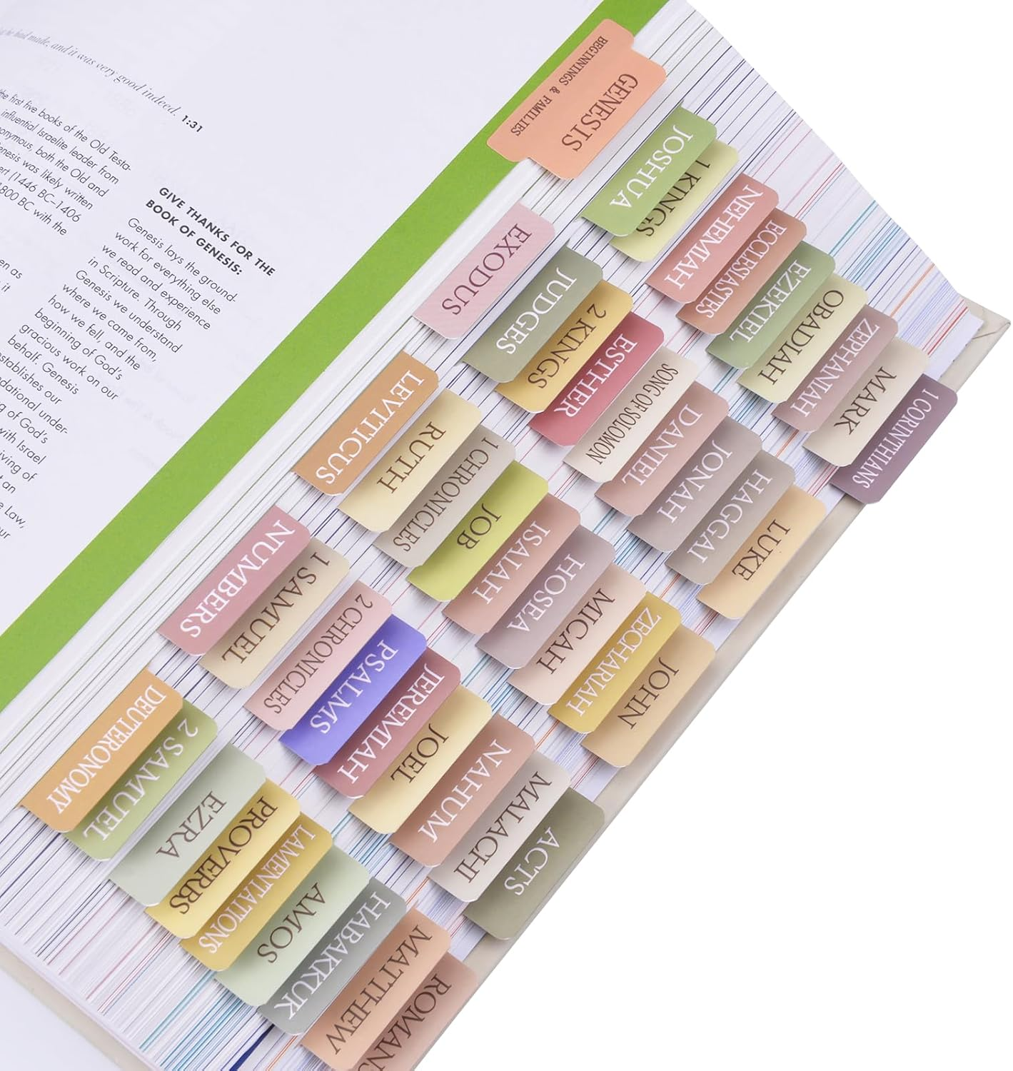 72 Laminated Bible Tabs, Large Print Bible Book Index Tabs, Easy to Apply