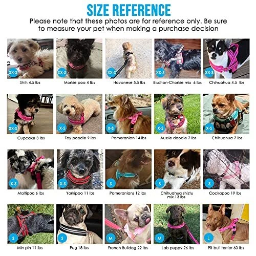 Dog Harness and Leash Set, Soft Padded Small XXS ( Chest 11.5'' ~ 15'') Blue