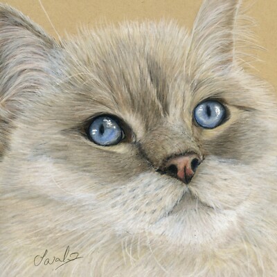 Stoffpuppe Katze, Buntstift Fine Art DRUCK aus einer Originalzeichnung