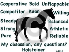 Holsteiner Horse My Obsession, Any Questions? T-shirt Choices