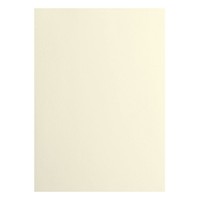 Cardstock A4 216G/M² Beige 10 Stk Vaessen Creative Scrapbooking Karten