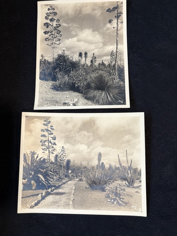 Original Vintage Photographs The Huntington Library & Art Gallery Floyd Faxon