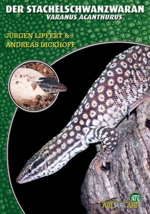 Thumbnail - Der Stachelschwanzwaran Varanus Acanthinurus Jürgen Lipfert (u. A.)