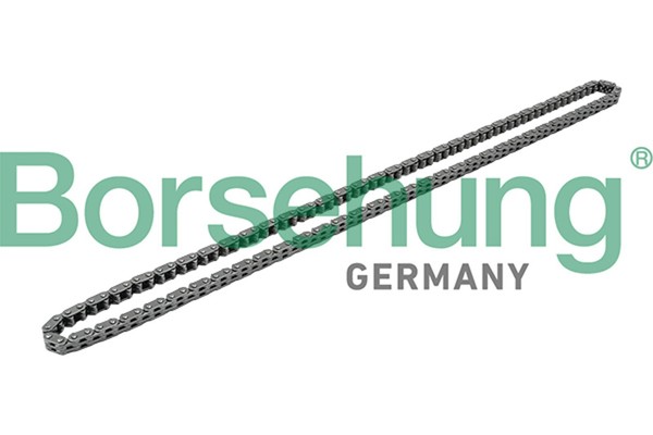 Steuerkette Borsehung B1C019 FüR Skoda Vw Tiguan Jetta 4 162 163 AV3 AV2 Van 6 3-image