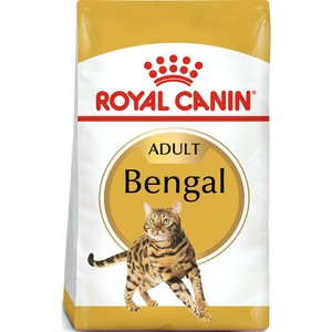 royal canin bengal cat food