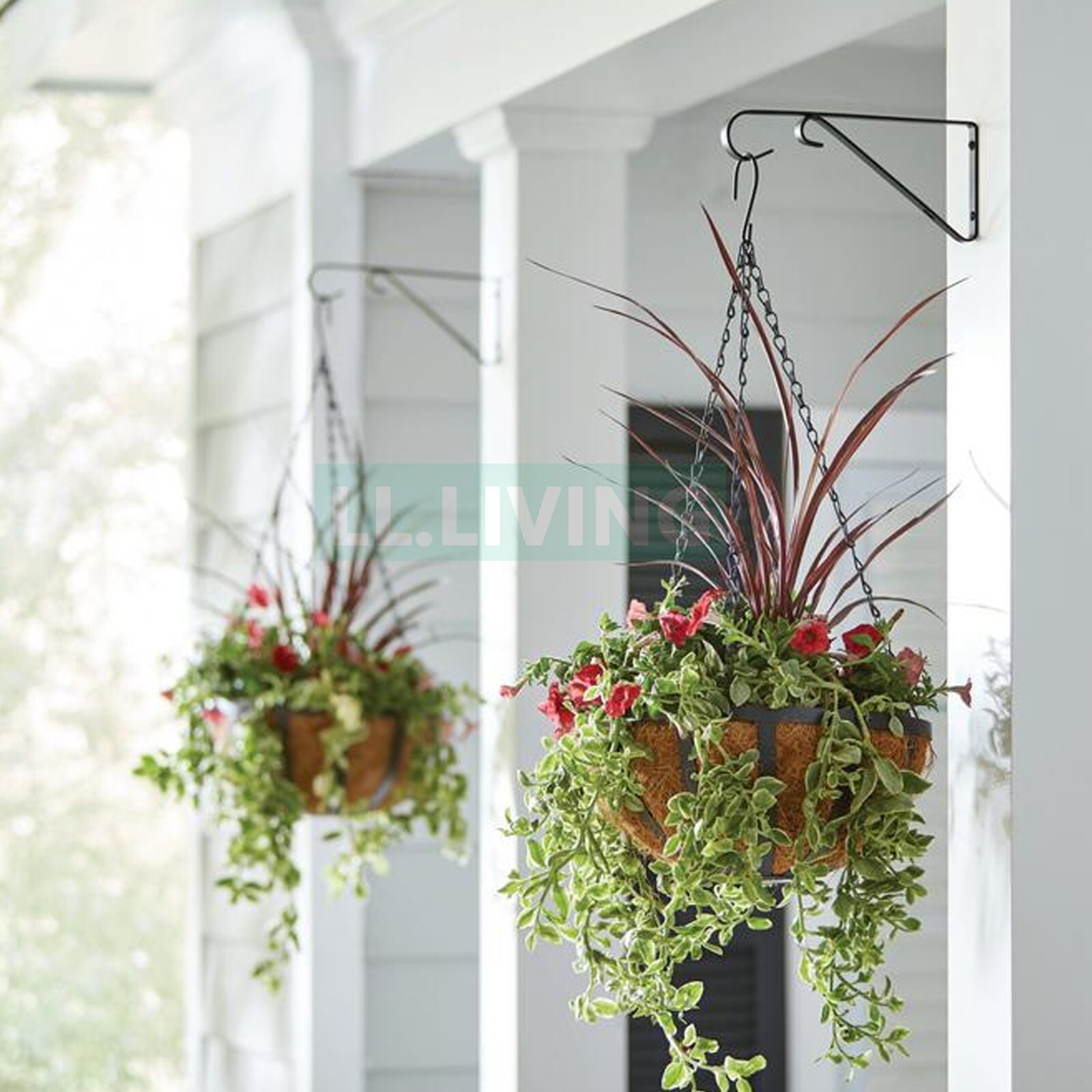 Plant Hanger Wall Bracket Iron Basket Rack Hook Garden Flower Pot