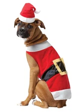 Santa Dog Costume