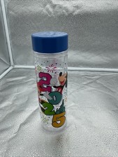 Disney Parks 2025 Mickey  Minnie Mouse WDW 19.5 Oz Water Bottle