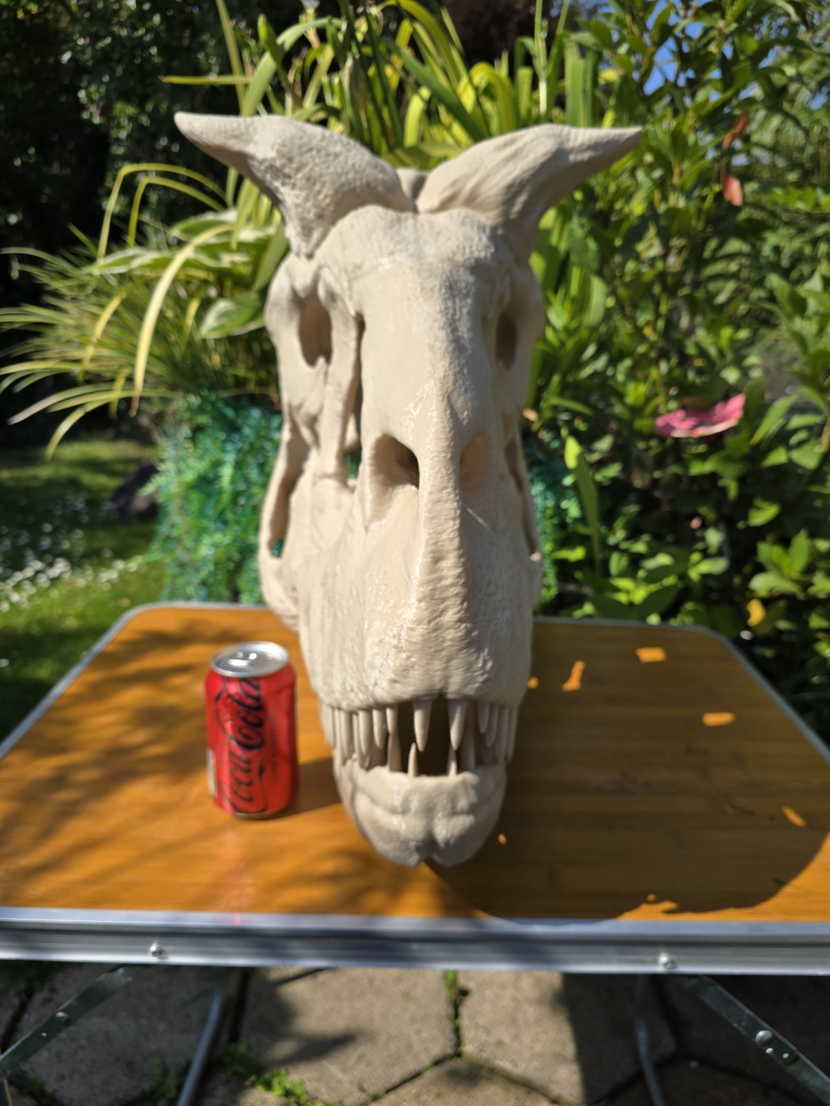 Life-size CARNOTAURUS skull Replica, Fossil