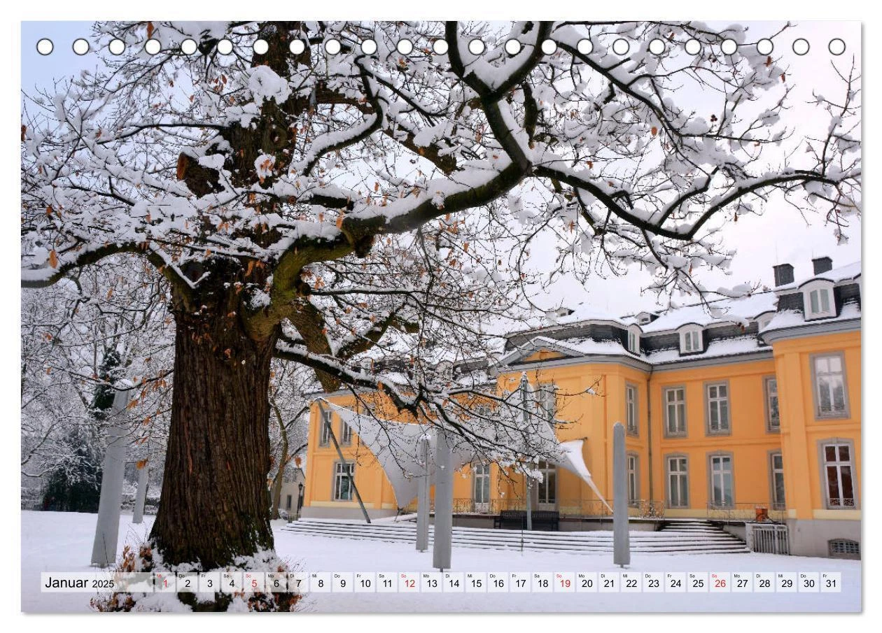 Bild 7 von 15