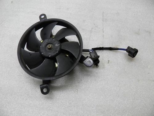 Kühlerlüfter Wasserkühlung Suzuki Burgman 400 2003 2004 2005 2006