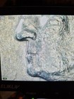 1999-P Pennsylvania State Quarter 25C Philadelphia Business Strike KM#308 — photo 2