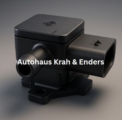 ORIGINAL BMW Abgasdrucksensor Differenzdruck E81 E90 F30 F10 E83 E70 13627805152