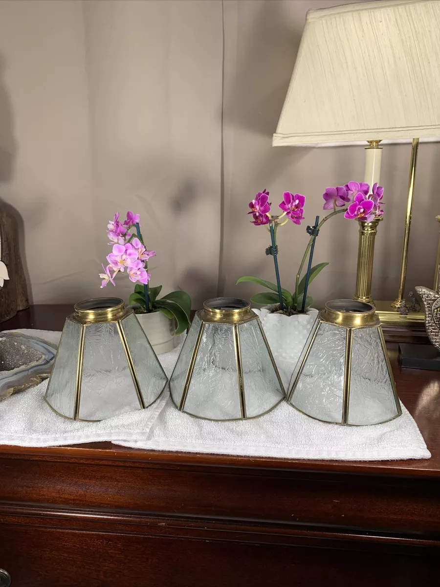 Etched glass 2024 lamp shades