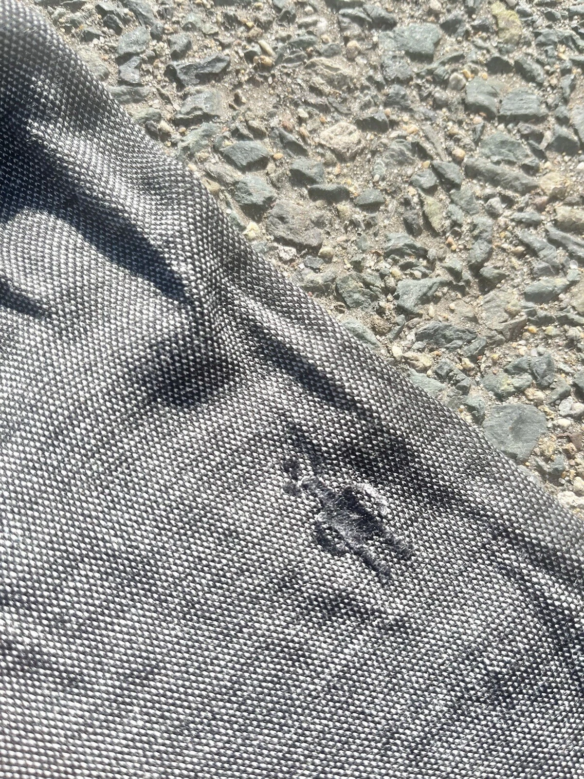 smartwool activewear full zip merino wool jacket