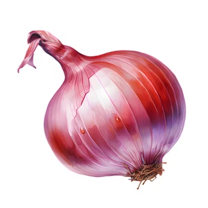 Red Onion Vegetable Self Adhesive Waterproof Sticker