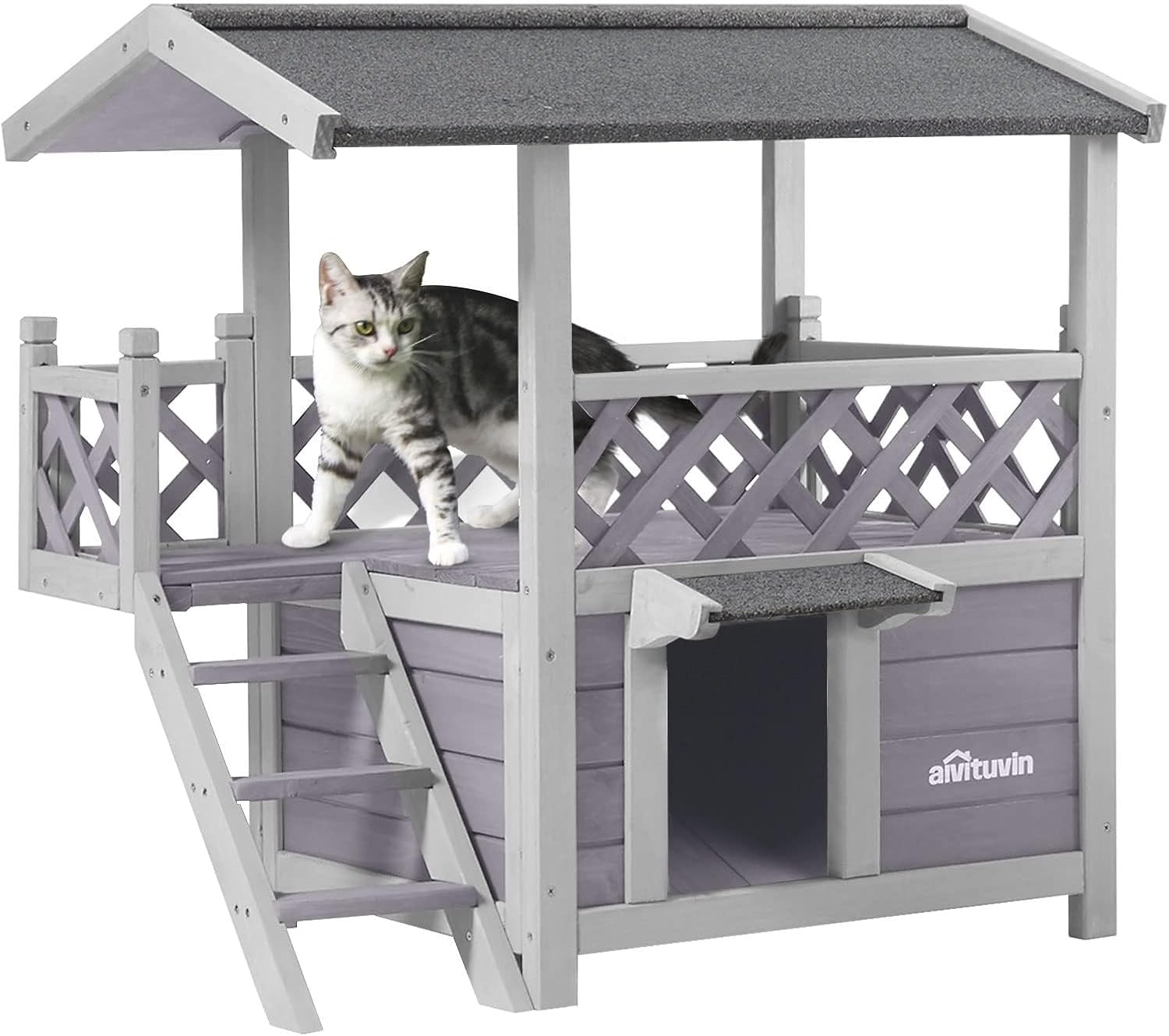 Outdoor Indoor Cat Shelter for Feral Cats with Escape Door Insulated Warm Kitty House