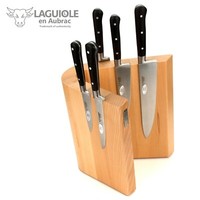 Laguiole En Aubrac KüChenmesser Set Frankreich Griff Ebenholz Messerblock Magnet