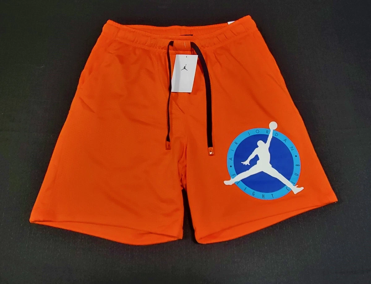 Air Jordan Men's Flight Artist Series Mesh Shorts