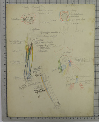 Antique Handwritten French Anatomical Drawing Arm Hand Anatomy Art