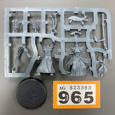 ASCETIC 2 ASKURGAN TRUEBLADES WARCRY AOS VAMPIRE UNTOTE