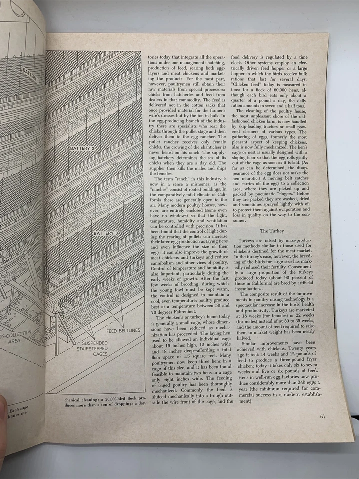 Scientific American Magazine July 1966 Chicken Factory Foto 4 de 4