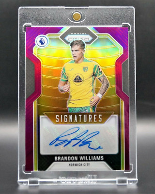 Brandon Williams /25 Autographs Panini Premier League Soccer
