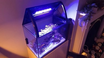 Fluval evo 52 Liter 13,5g Deckel Requisiten