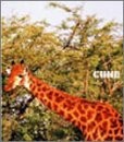 CUNE - クローバー w/OBI CD Japan Import J-Pop