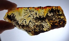 Trent Agate Slab